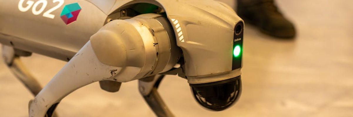 samuelbudget-com_fa31